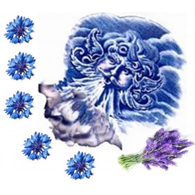 Гидролат Синие ветры Тавриды (василек+лаванда), 100 мл (стекло) Бархатный Лес