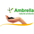 Ambrella (Алтай)
