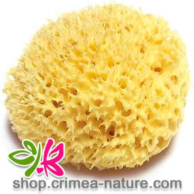 Морская губка Honeycomb отбеленная (6,2 - 7,5 см)