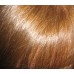 Травяная краска для волос на основе индийской хны - Золотисто-Коричневая, 60 г  (Aasha)